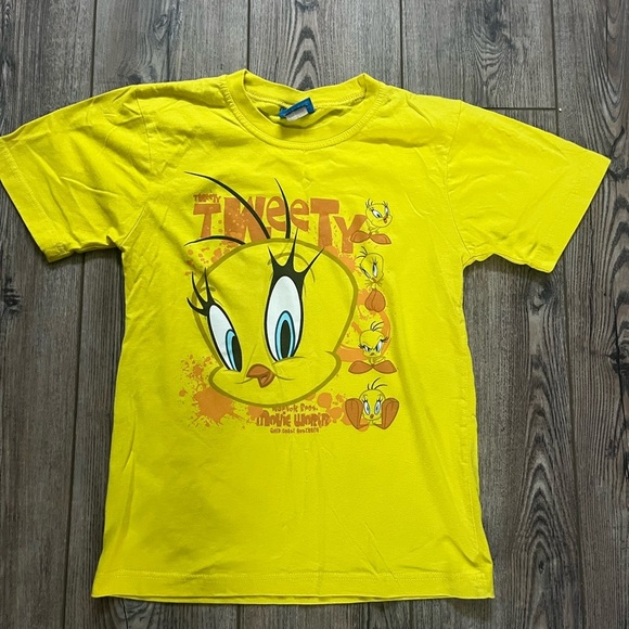 Official Warner Brothers Gold Coast Australia Tweety Bird Shirt-size 10 (girls) - Picture 1 of 3